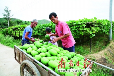 翁源gdp_翁源龙仙龙湖夜景(3)
