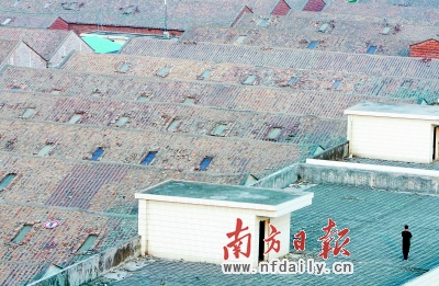 丹灶镇gdp_杏坛镇gdp数据图