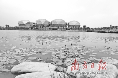 标准稠度用水量_中国城市人均用水量(2)